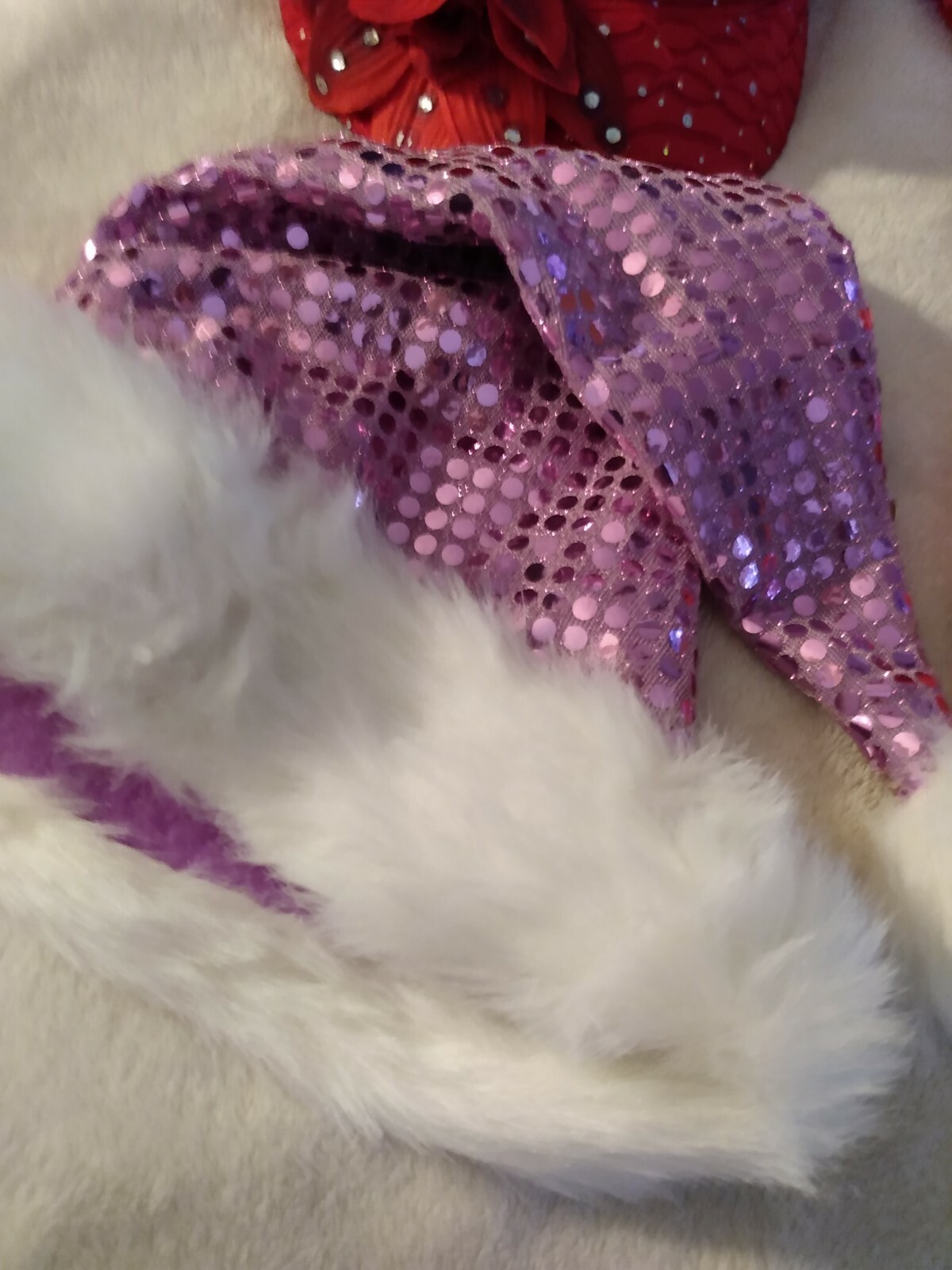 Purple Hats - Red Hat Society Ladies 