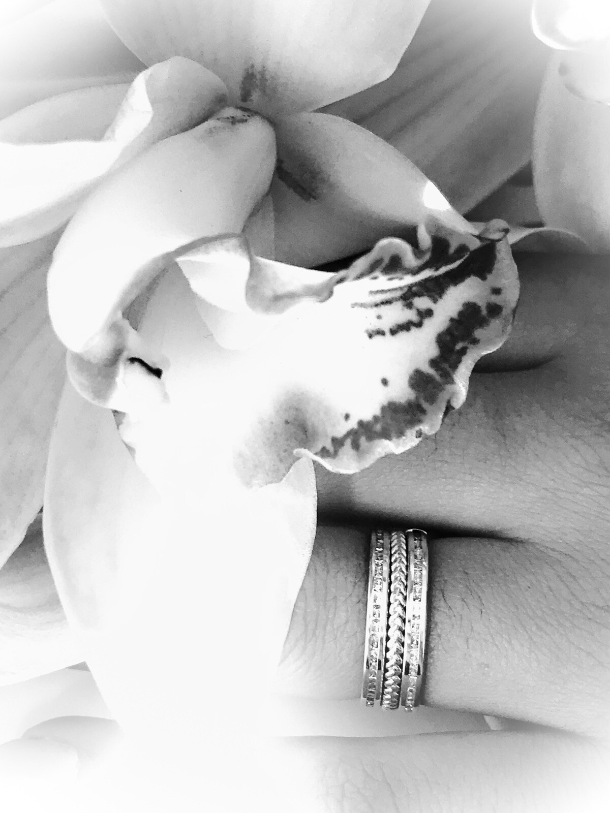 Pre-owned Jewelry By Paula 14k White Gold Twist Band Ring, Stacking Band, Midi Ring 2 Mm. Solid 14k Gold