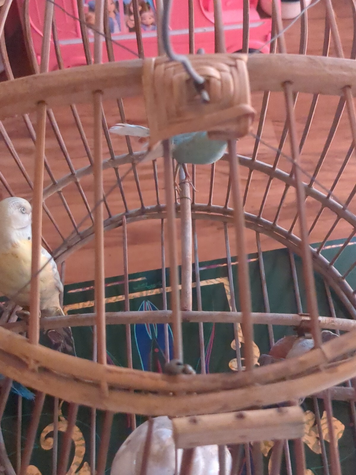 a super vintage round bird cage made out of wood great conditionのeBay公認