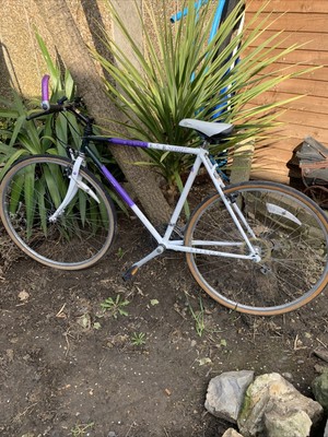 Old Raleigh Pioneer Spirit Men’s Bicycle