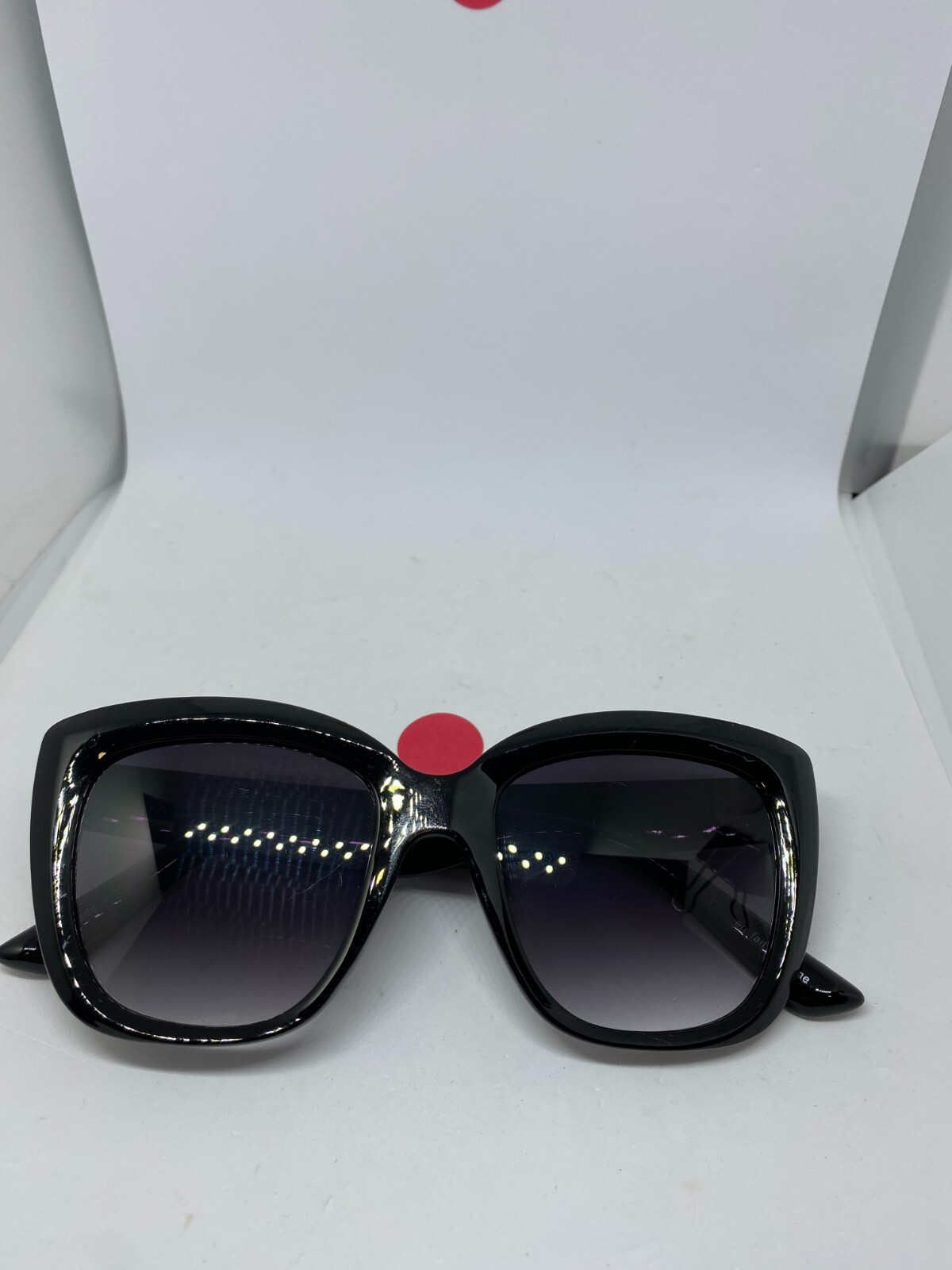 OUTSIDE IN Sunnies サングラス EYEVAN / WEBB Sun 49,51size 充実の再入荷 | 中目黒のメガネ