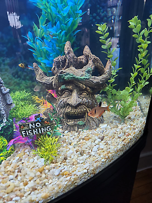 Hermit crab tank decorations top