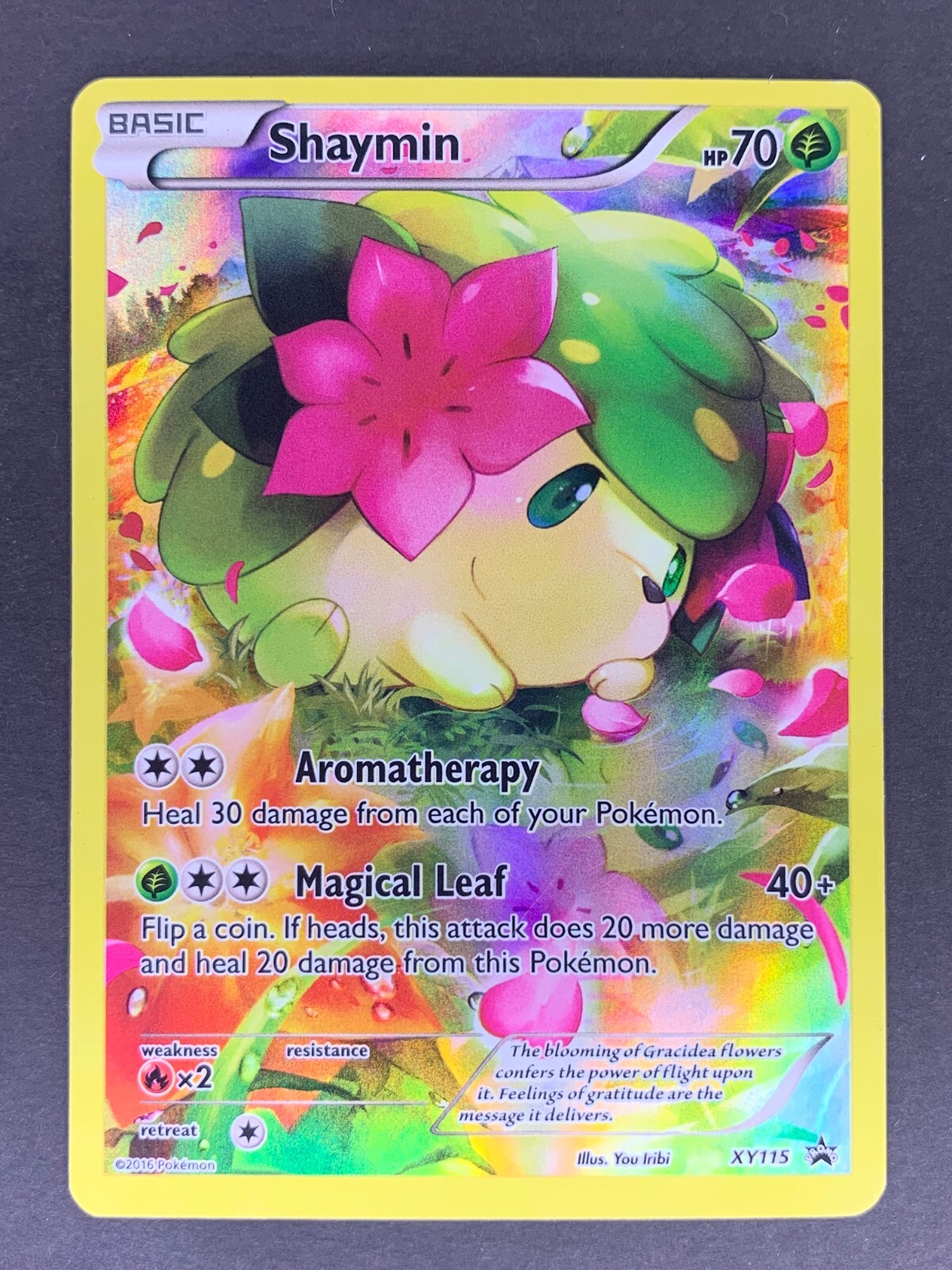 Shaymin XY115 Black Star Promo 2016 English Pokémon Card MP