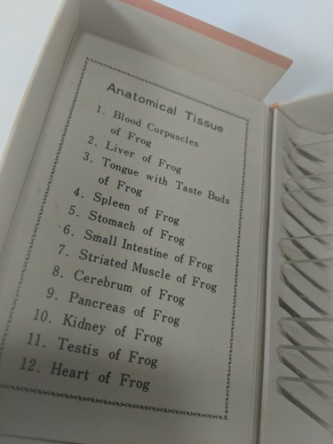 VINTAGE SEARS PREPARED SLIDES BOX Anotomical Tissue of Frog.