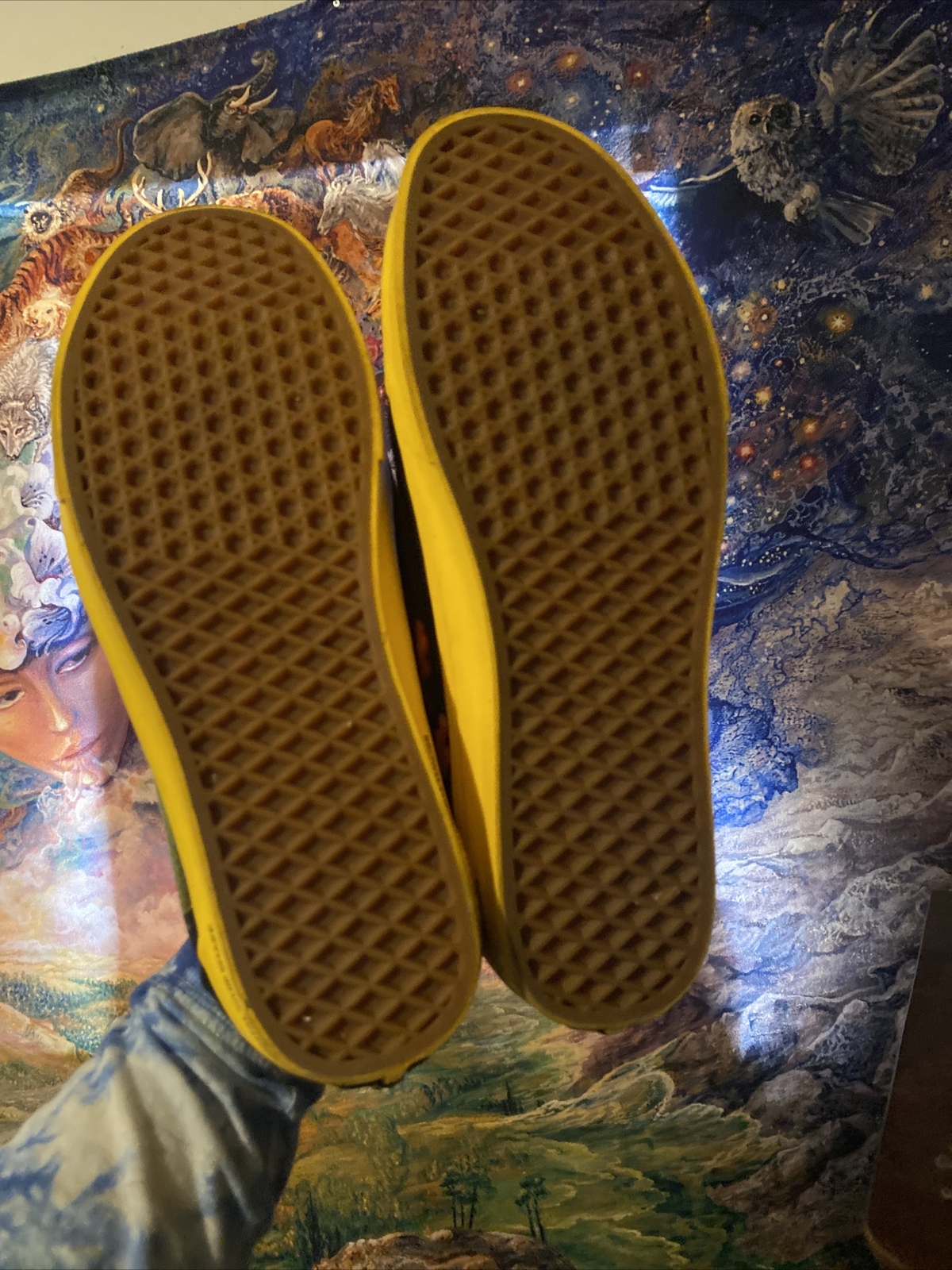Vans Shoes Size 13 Mens National 