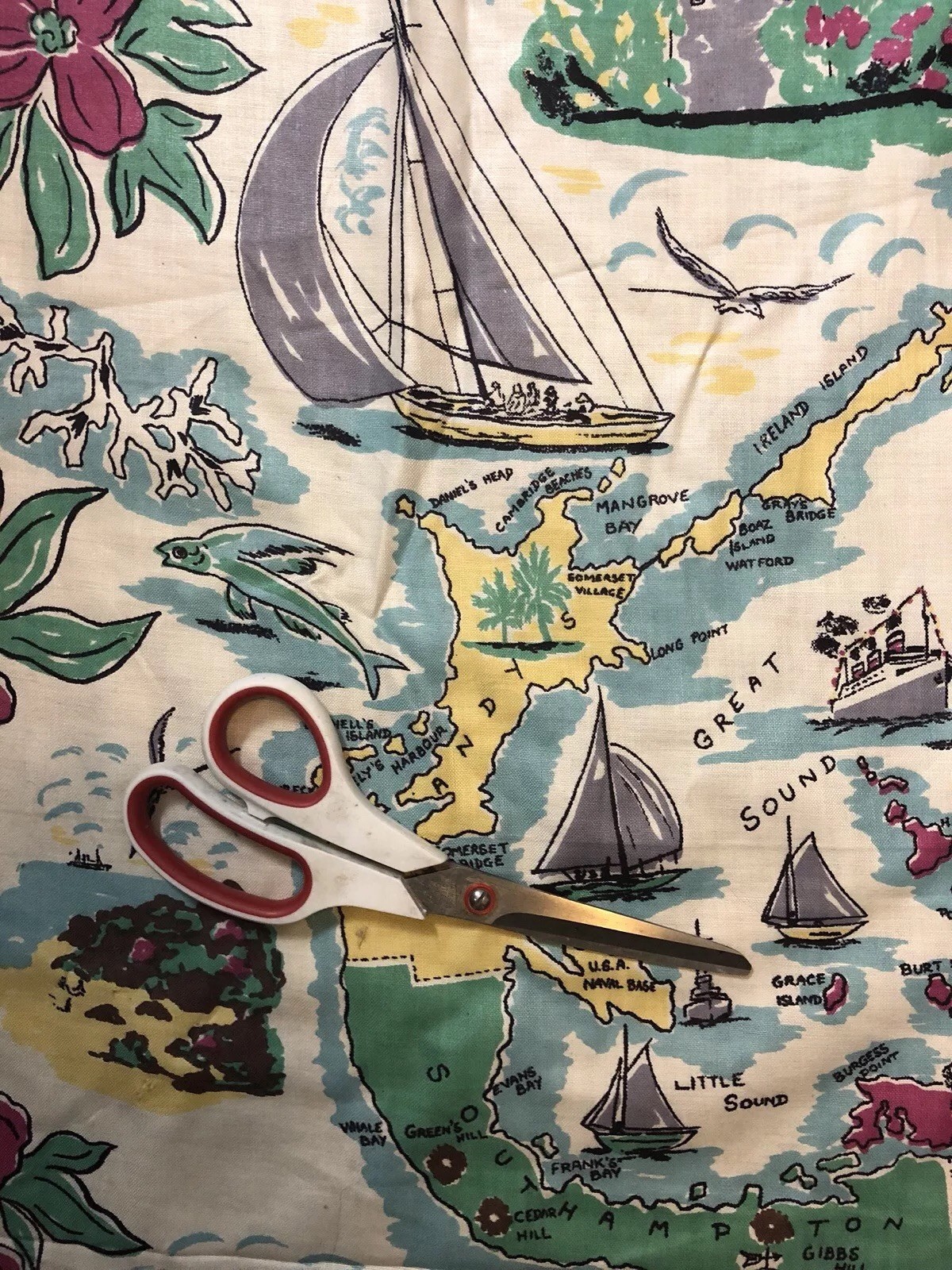 Vintage Ireland Travel Vacation Fabric - Devonshire Pembroke Ireland Island