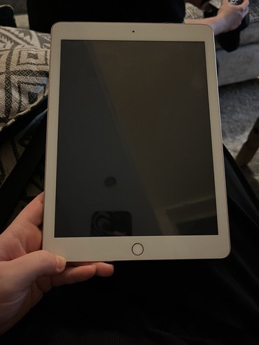 Apple】 iPad（6th） 128GB Gold 本体のみ Apple iPad 6th 9.7