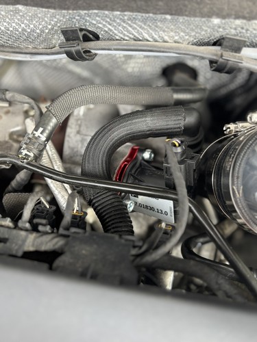 Photos de l'objet d'un acheteur vérifié