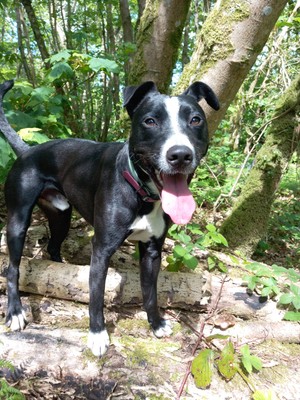 經驗證買家提供的物品圖片