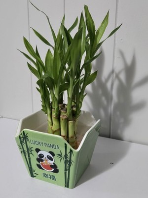 經驗證買家提供的物品圖片