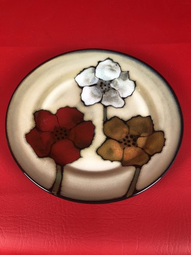 Pfaltzgraff Everyday Painted Poppies 8.75" Salad Plates. Gre