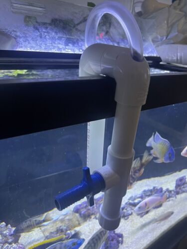 pvc overflow fish tank- No Drilling Required- Drip System