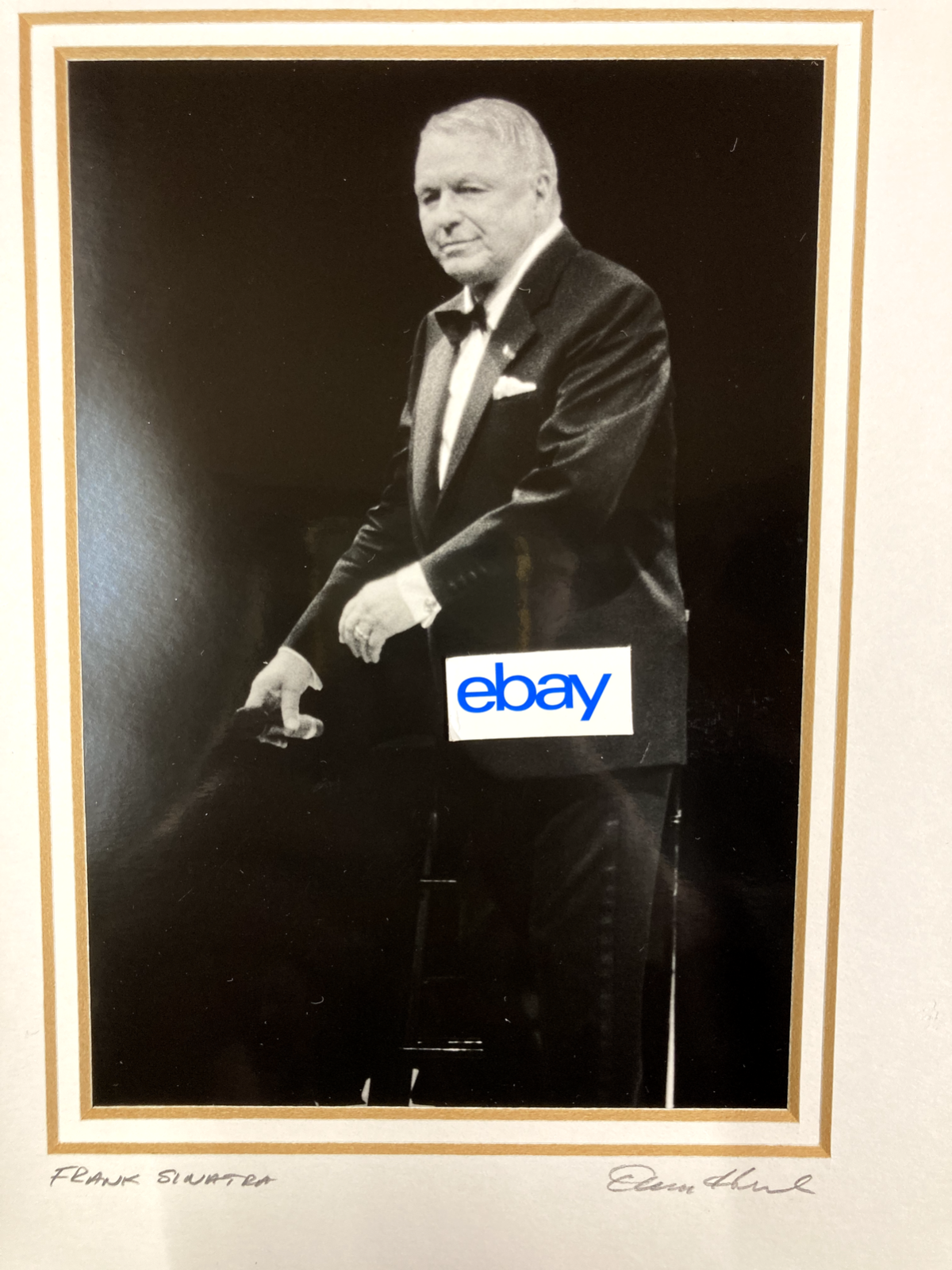 1994 FRANK SINATRA B&W 5X7 MATTED PERFORMANCE PHOTOGRAPH BY DAVID HONL