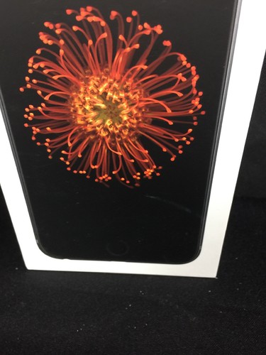 Box For IPhone 6 Plus Space Gray 64GB Box Only No Phone