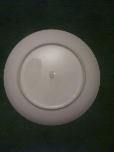 Japanese Ceramic or Porcelain Plate