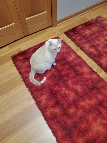 Awesome RARE Vintage Mid Century retro 70s rya German shag Abstract Red 2 rugs!