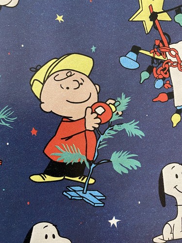 PEANUTS CHARLIE BROWN And SNOOPY Christmas Wrapping Paper 20 Sq Ft