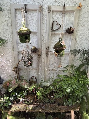 Photos de l'objet d'un acheteur vérifié