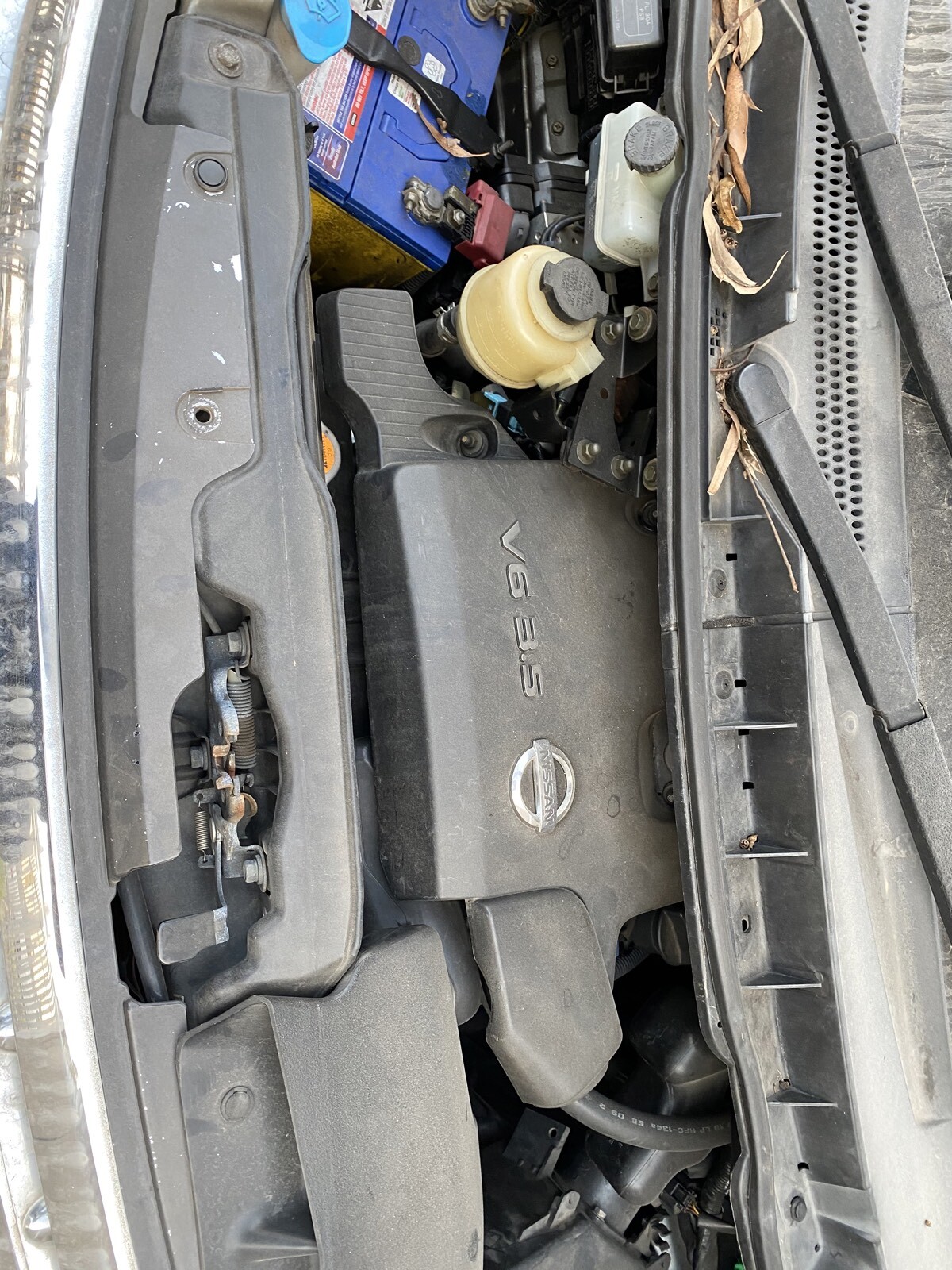 NISSAN ELGRAND E51 HIGHWAYSTAR WRECKING - thumbnail 5