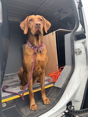 經驗證買家提供的物品圖片