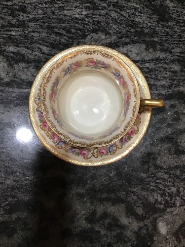 Rosenthal Continental VIENNA Cup & Saucer 5963312