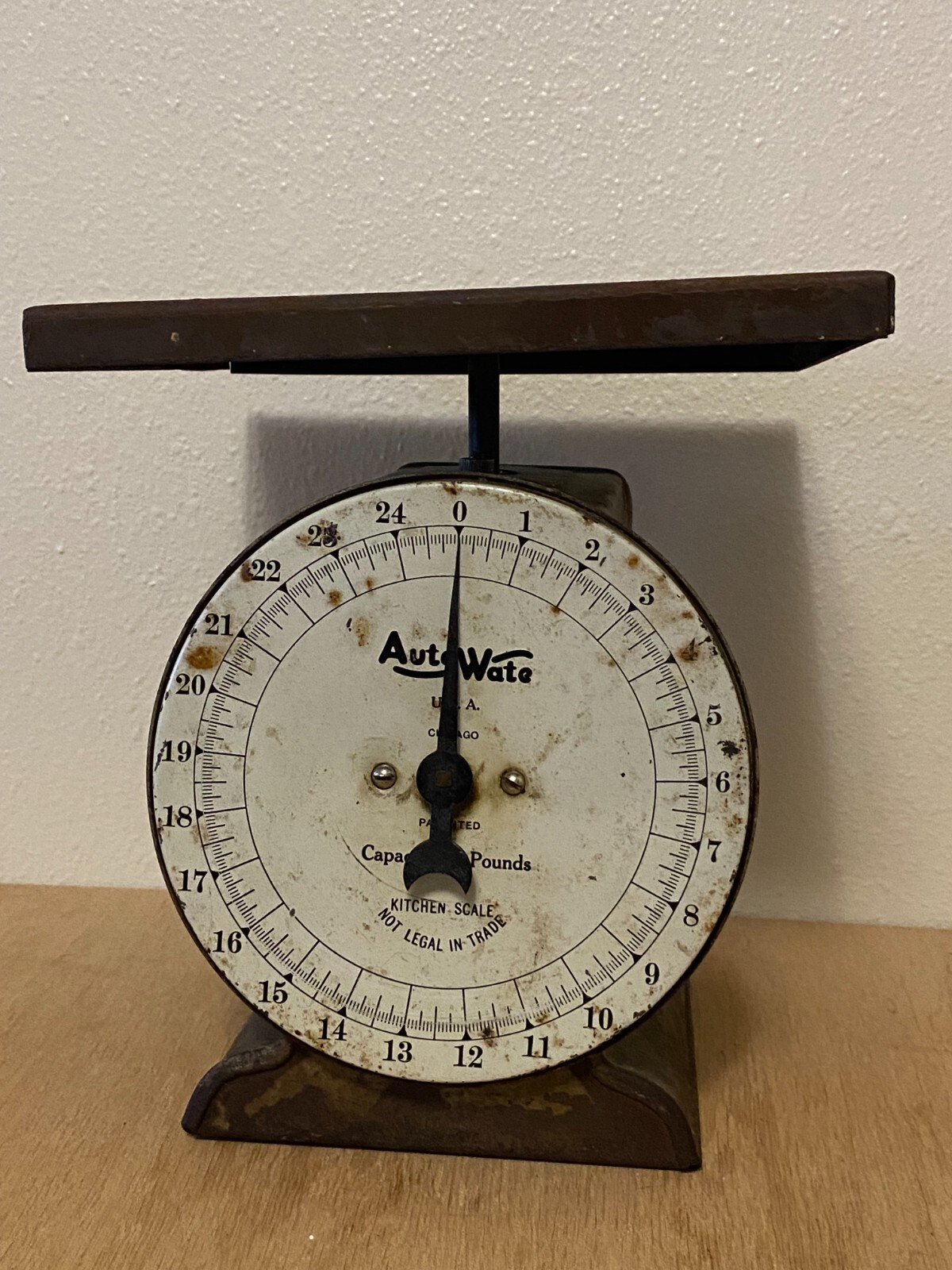 TARPtoWANTKEY　TTW Scale Plate Thrall 61'-1