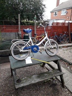 raleigh bluebell bike