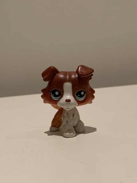 littlest pet shop border collie
