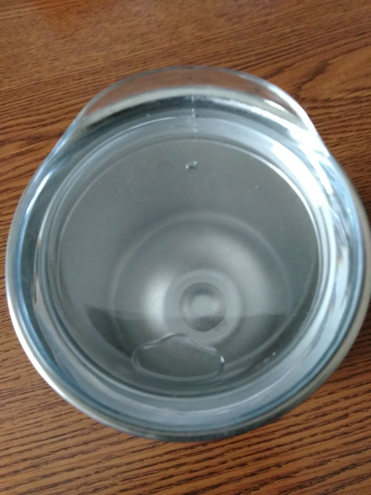 Living Fresh insulated Cup With Lid Michigan