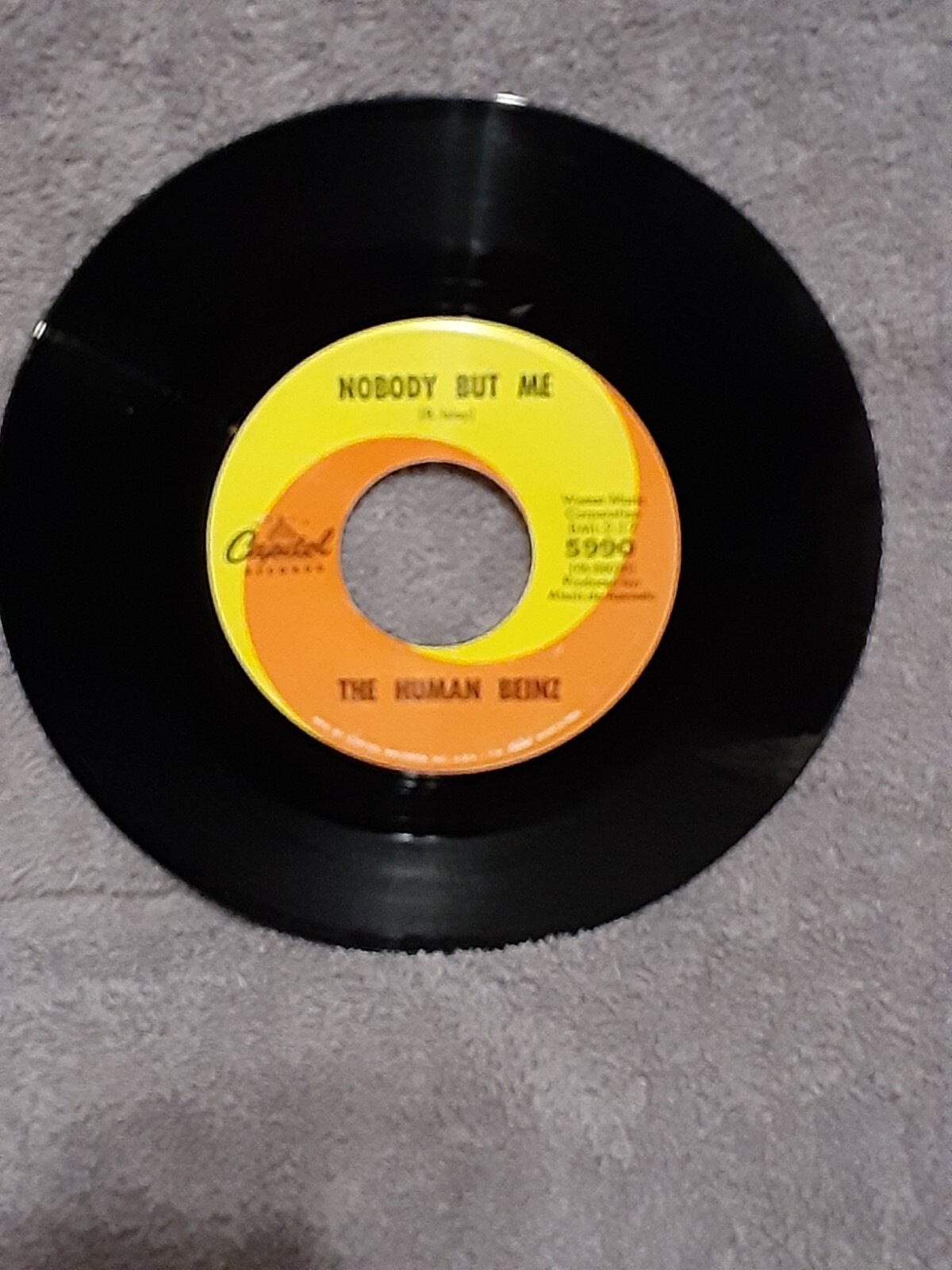 英7” Human Beinz Nobody But Me / Sueno CL15529 CAPITOL /00080 The Human Beinz – Nobody But Me | Releases | Discogs