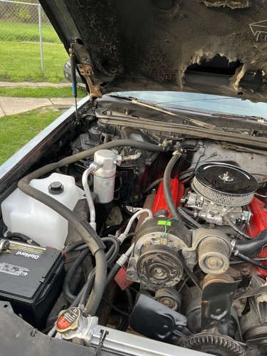 Fotos del artículo de un comprador verificado