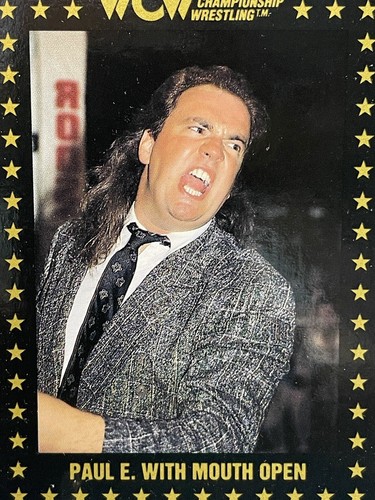 ポール・べアラー　WWEクラシック $_12.JPG?set_id=880000500F