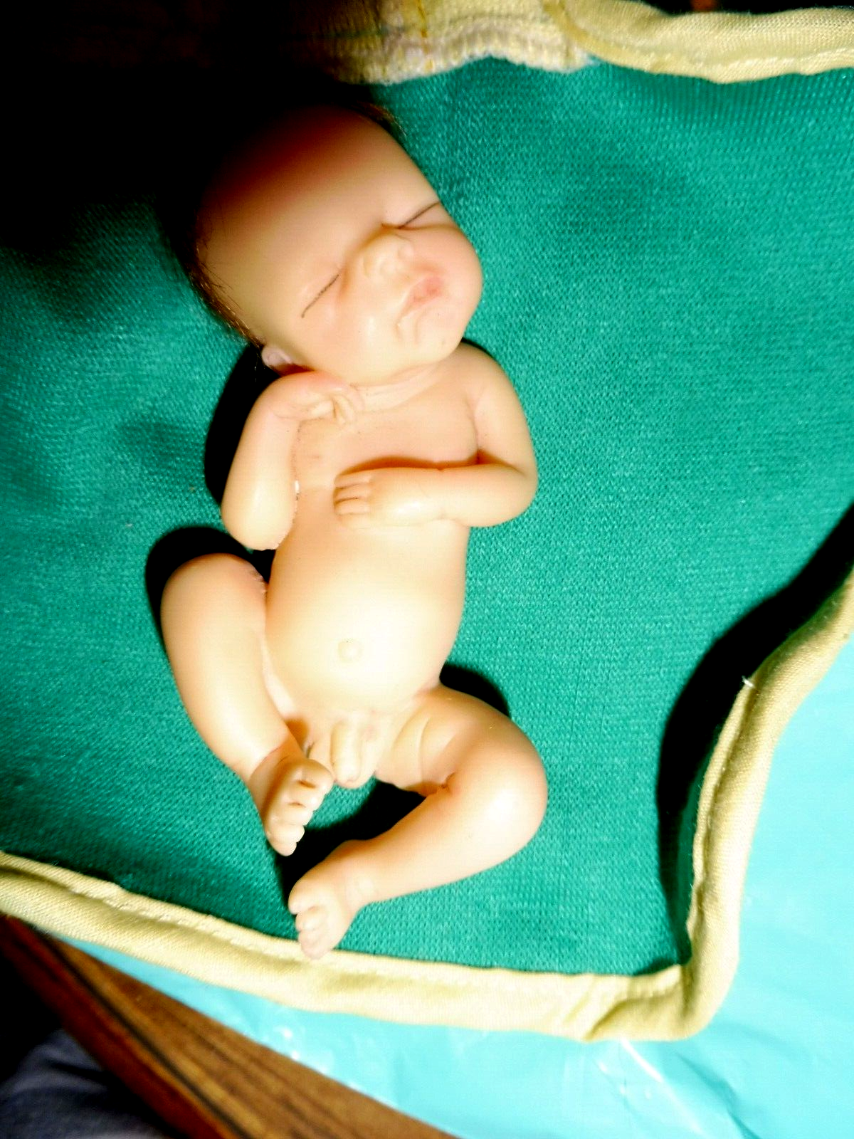 ASHTON DRAKE RESIN ANATOMICALLY CORRECT BABY BOY DOLL (SHERRY RAWN BUNDLE BABY?)