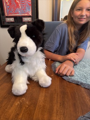 ぬいぐるみ Douglas Chase Border Collie Chase Border Collie – Wonder Wolf Plush
