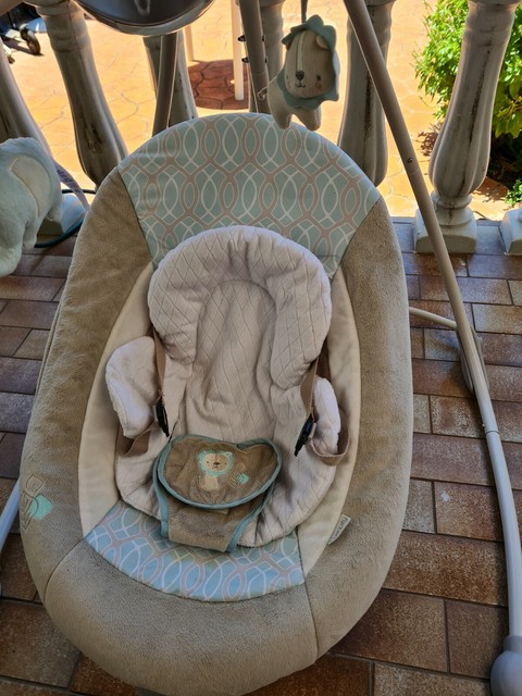 ingenuity giraffe swing