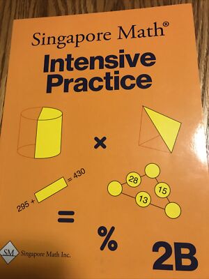 Singapore Math Intensive Practice