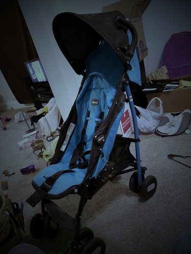 chicco echo stroller garnet