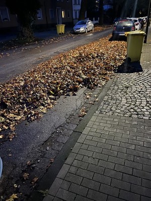 Zdjęcia przedmiotu od zweryfikowanego kupującego