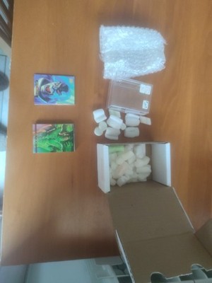 Item photo(s) from verified buyer