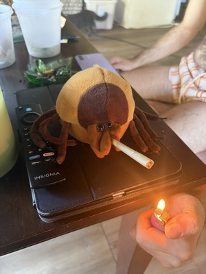 Fotos del artículo de un comprador verificado