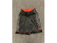 lebron james dri fit shorts
