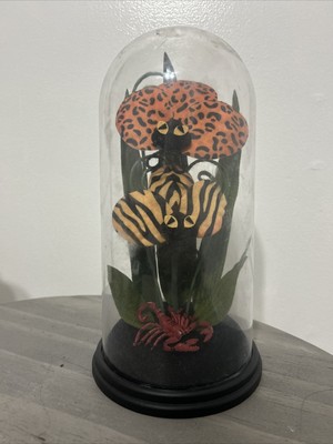 Hide and Eek Animal Print Halloween Faux Plant In Case!