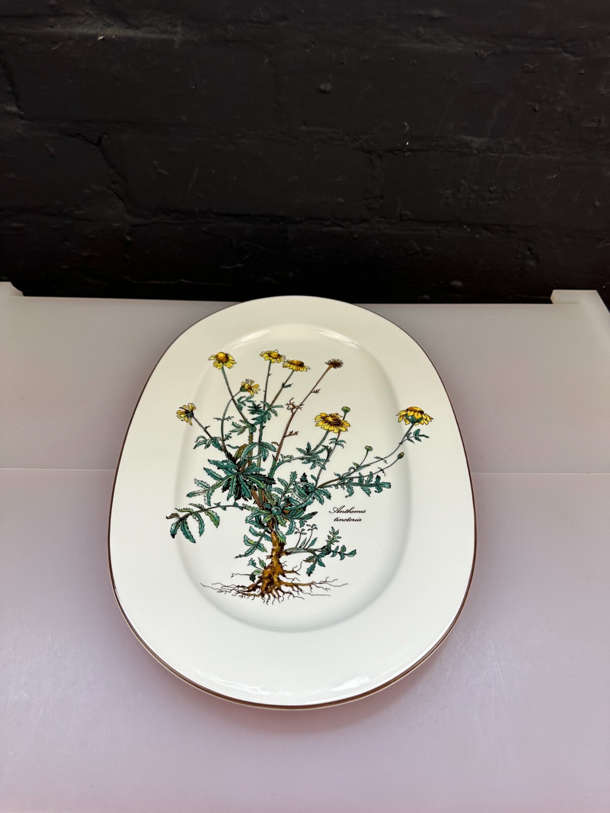 Villeroy And & Boch Botanica Oval Carving Serving Platter Plate 34cm 2 Available