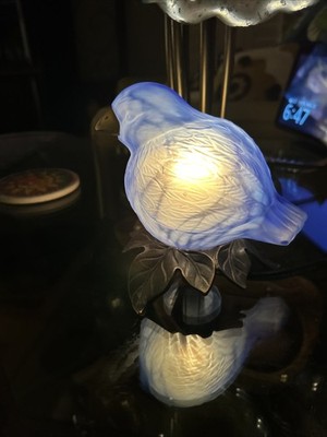 Foto dell'oggetto di un acquirente verificato