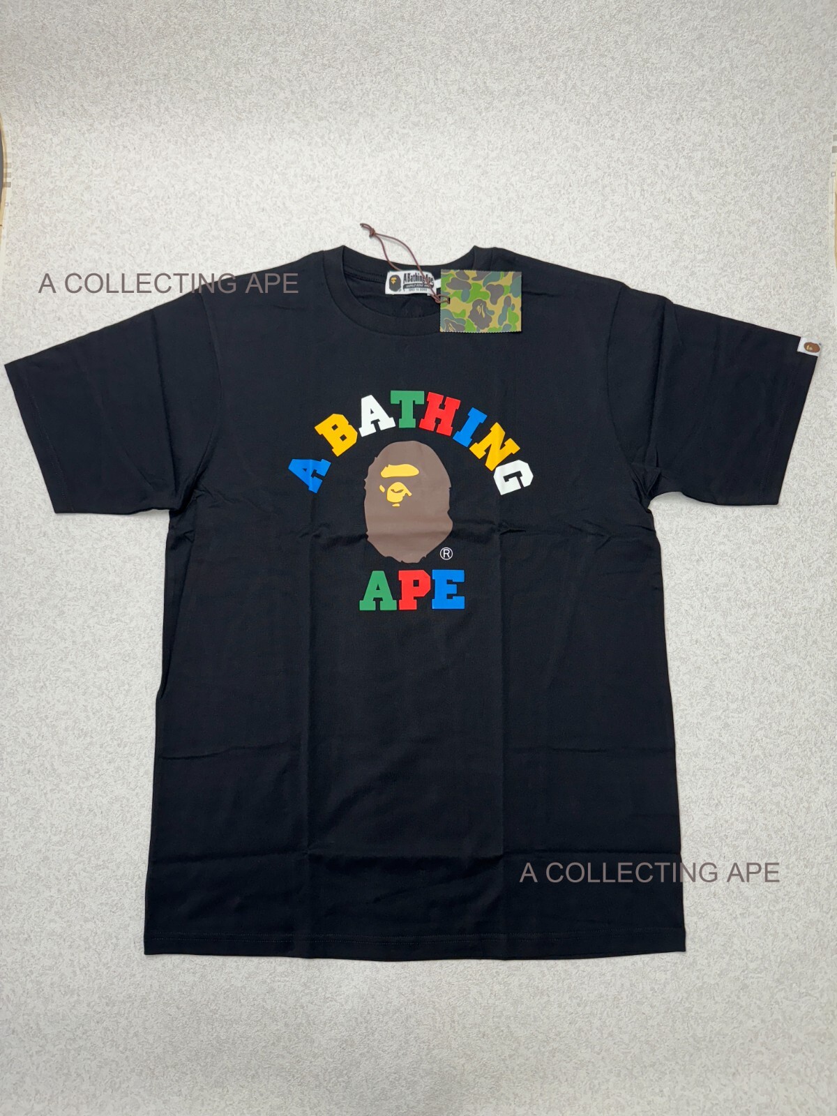 $_57.JPG?set_id=880000500F