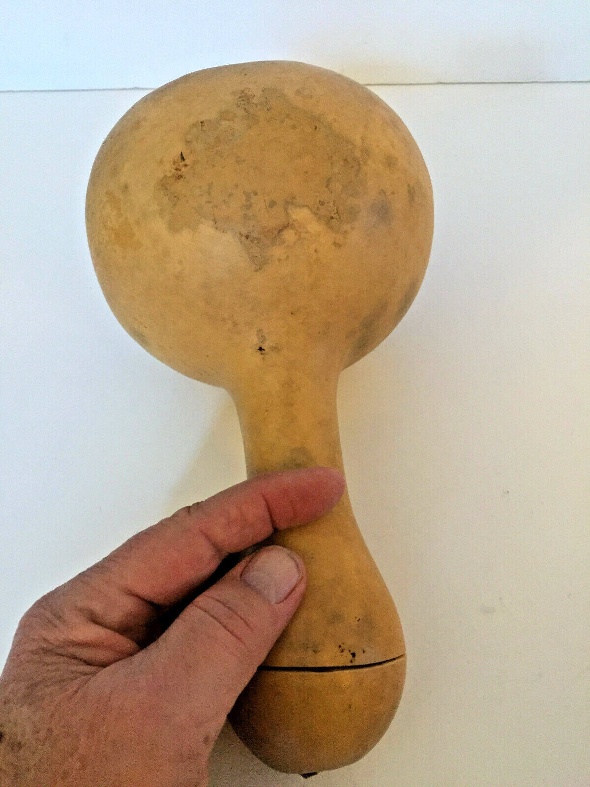 Vintage Dried African Gourd Shekere  Primitive Percussion Instrument 18