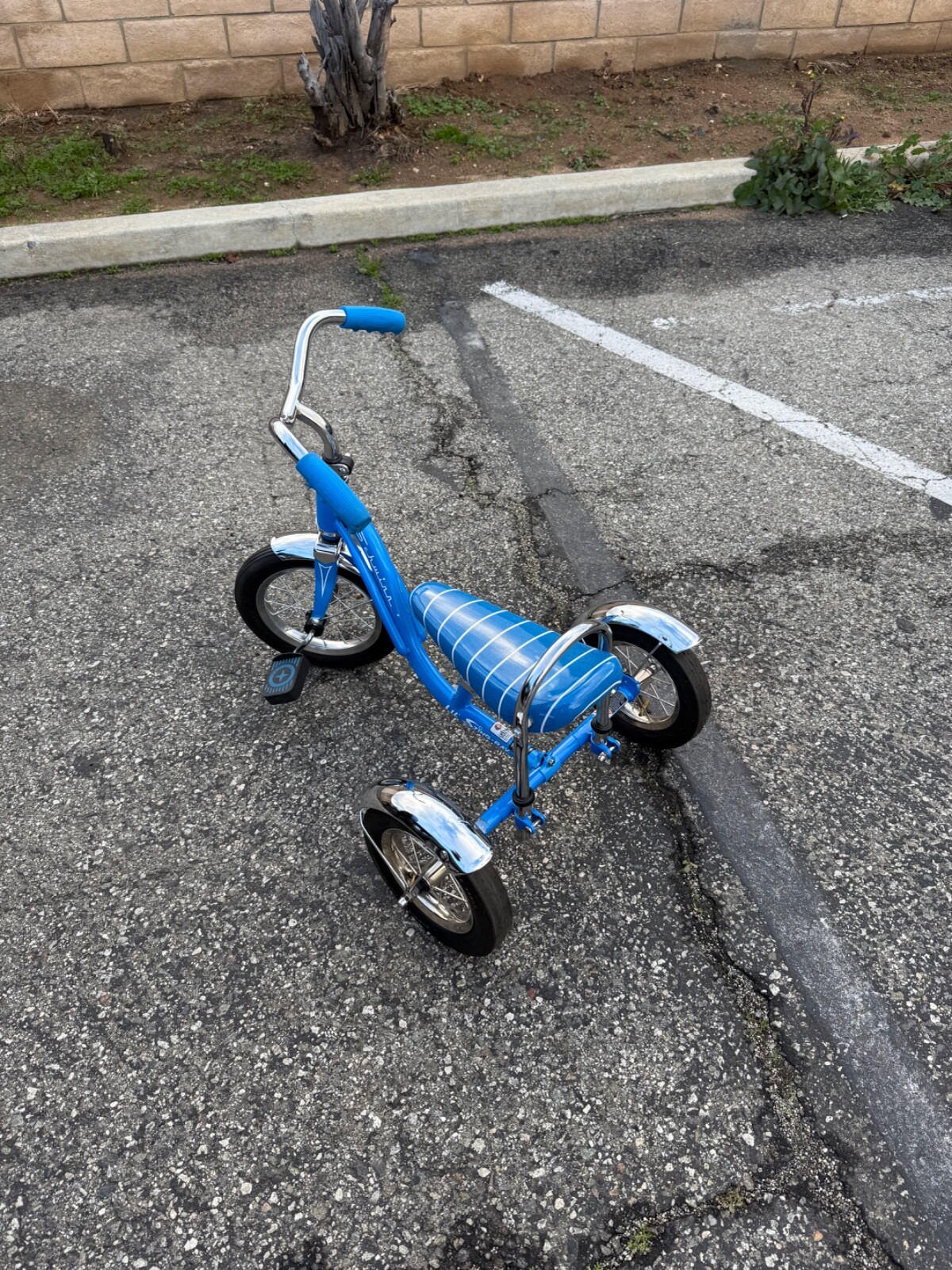 lil string ray tricycle blue schwinn | eBay