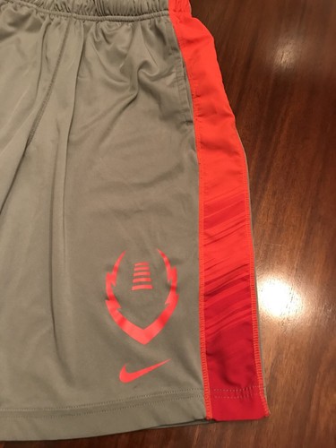 Boys Nike Athletic Shorts Size Large Gray And Red