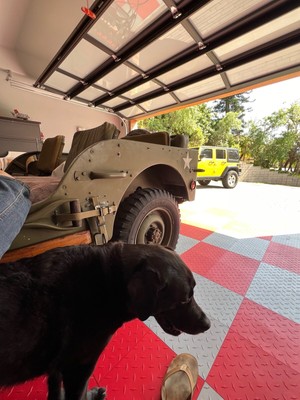 image 13 of exterior