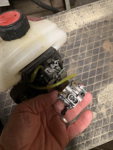 Fotos del artículo de un comprador verificado